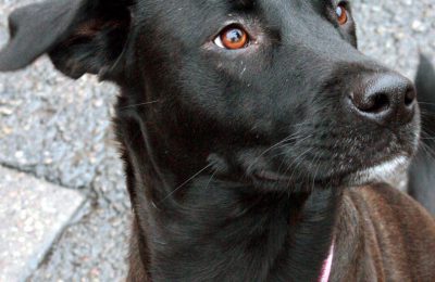 Congrats, Clementine!