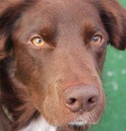 Congratulations Chase!