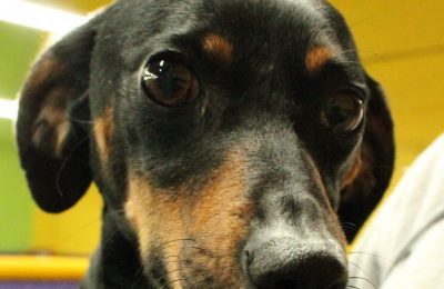 Congratulations, Abby!