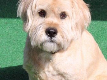 Congratulations, Lola!