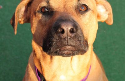 Congratulations, Lucy!