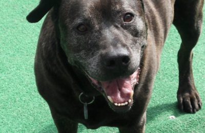 Congratulations, Bishop!