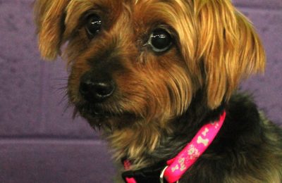 Congratulations, Kasey!