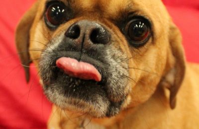 Congratulations, Coco!