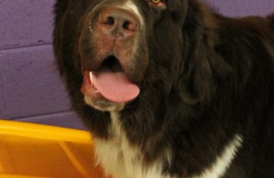 Congratulations, Oliver!