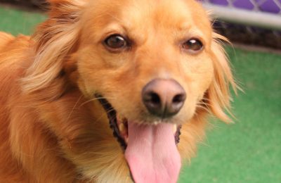 Congratulations, Callan!