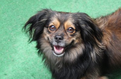 Congratulation’s, Nellie!