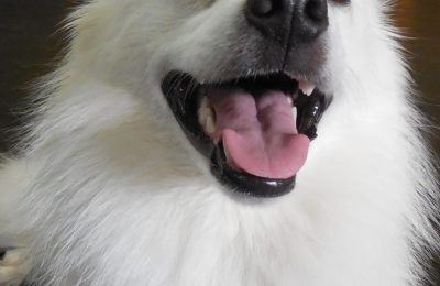 Congratulations, Willow!