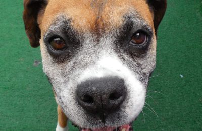 Congratulations, Sooki!