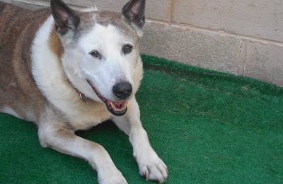 Congratulations, Kerry!