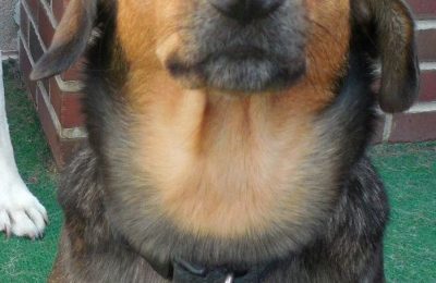 Congratulations, Diva!