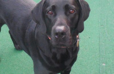 Congratulations Barney!