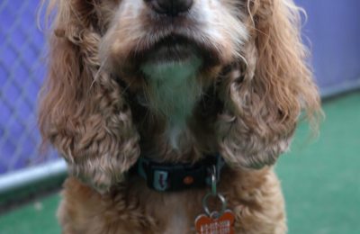 Congratulations, Peyton!