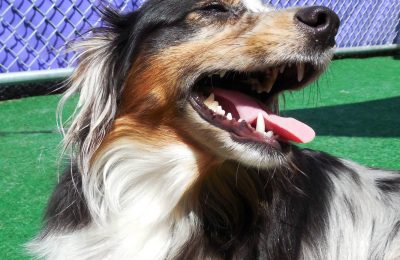 Congratulations, Jackson!