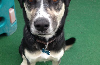 Congratulations, Julep!