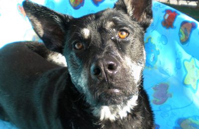 Congratulations, Fritz!