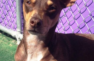 Congratulations, Wiley Cyrus!