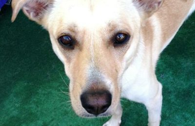 Congratulations, Penny!