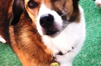 Congratulations, Rain!