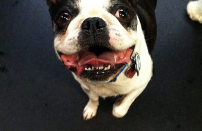 Congratulations, Mr. Furley!