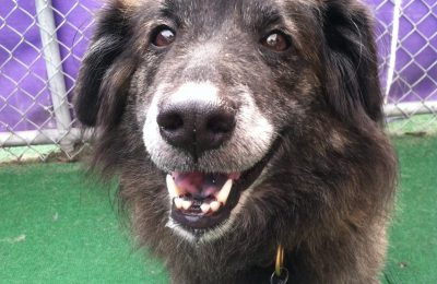 Congratulations, Django!