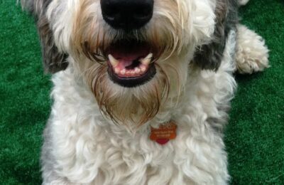 Congratulations Zeke!