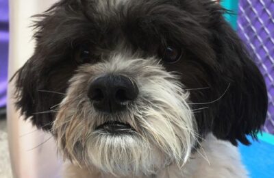 Congratulations Kirby!