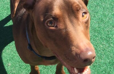 Congratulations Marv!