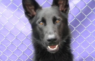 Congratulations Olive!