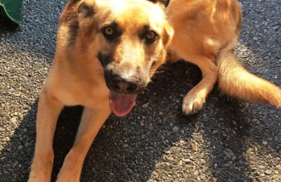 Congratulations Mia!