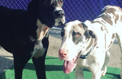 Congratulations Marvin & Caspian!!