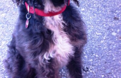 Congratulations Riley. J