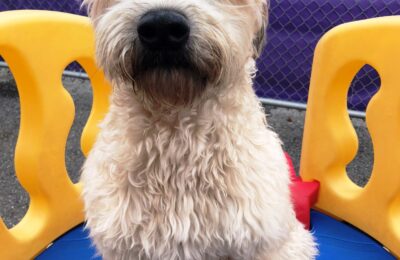 Congratulations Monty