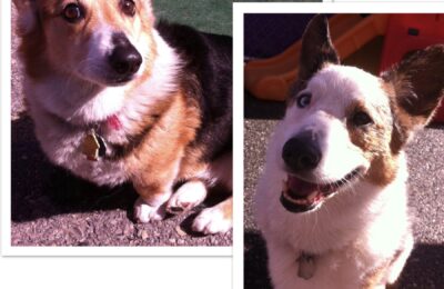 Congratulations Amos & Columbo