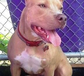 Congratulations Finley