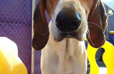 Congratulation’s Conner