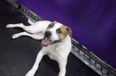 Congratulation’s Nash