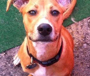 Congratulation’s Tucker