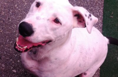 Congratulations Jackson. T