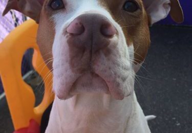 Congratulations Michaela