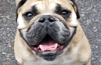 Congratulations Doza