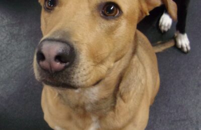 Congratulations Paige