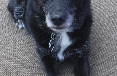 Congratulations Stanley Cup