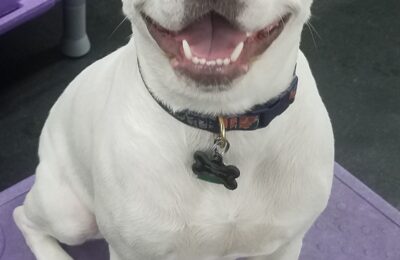 Congratulations Lucy