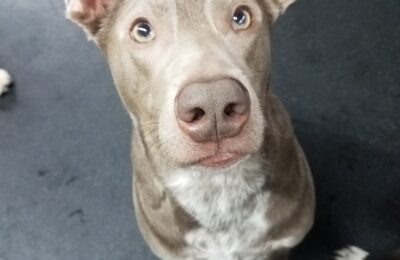 Congratulations Sawyer