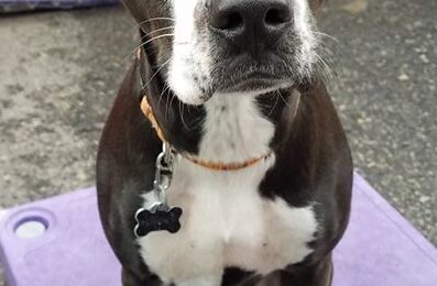 Congratulations Lumi