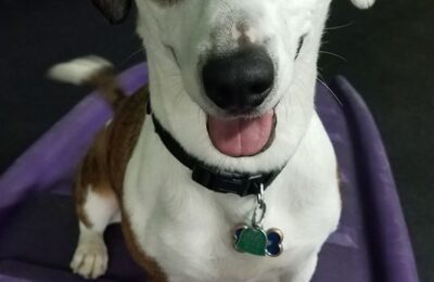 Congratulations Franklin