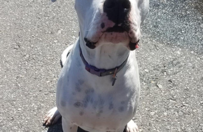 Congratulations Duchess