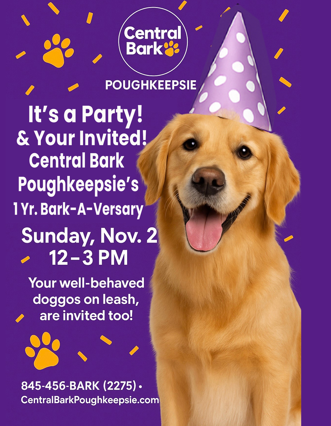 Central Bark Poughkeepsie 1 Year Anniversary Party