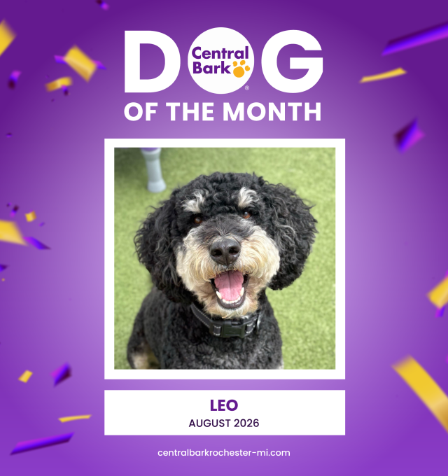 August Dog of the Month